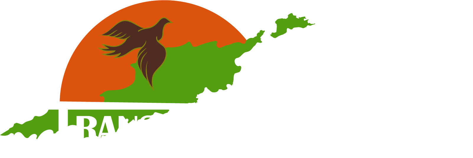 Trans Anguilla Airways